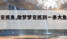 做梦梦见抓鱼,做梦梦见抓到一条大鱼是什么意思