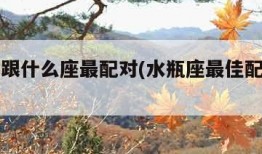 水瓶座跟什么座最配对(水瓶座最佳配对第一名)