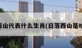 日落西山代表什么生肖(日落西山是啥生肖)