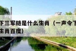 一声令下三军随是什么生肖（一声令下三军随是什么生肖百度）