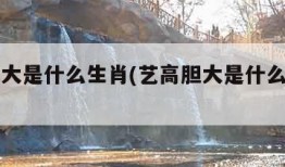 艺高胆大是什么生肖(艺高胆大是什么生肖请百度)