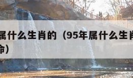 95年属什么生肖的（95年属什么生肖的是什么命）