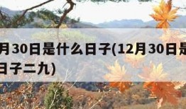 12月30日是什么日子(12月30日是什么日子二九)