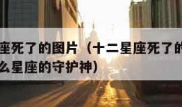 十二星座死了的图片（十二星座死了的图片白虎是什么星座的守护神）