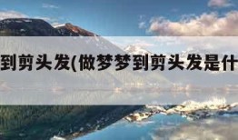 做梦梦到剪头发(做梦梦到剪头发是什么意思)