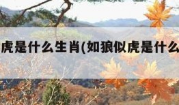 如狼似虎是什么生肖(如狼似虎是什么生肖狗)