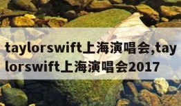 taylorswift上海演唱会,taylorswift上海演唱会2017