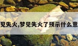 梦见失火,梦见失火了预示什么意思