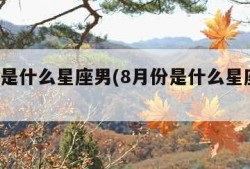 8月份是什么星座男(8月份是什么星座男性格)