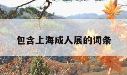包含上海成人展的词条