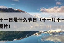 十一月十一日是什么节日（十一月十一日是什么节日图片）