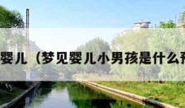 梦见婴儿（梦见婴儿小男孩是什么预兆）