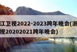 浙江卫视2022-2023跨年晚会(浙江卫视20202021跨年晚会)