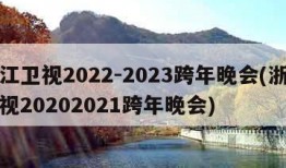 浙江卫视2022-2023跨年晚会(浙江卫视20202021跨年晚会)