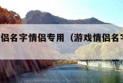 游戏情侣名字情侣专用（游戏情侣名字 情侣专用）