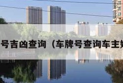 车牌号吉凶查询（车牌号查询车主姓名）