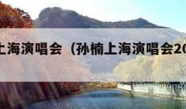 孙楠上海演唱会（孙楠上海演唱会2024时间表）